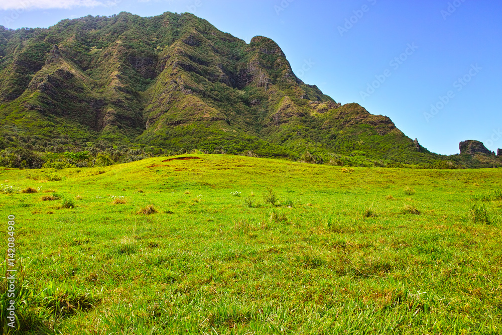 Fototapeta premium クアロアランチの風景