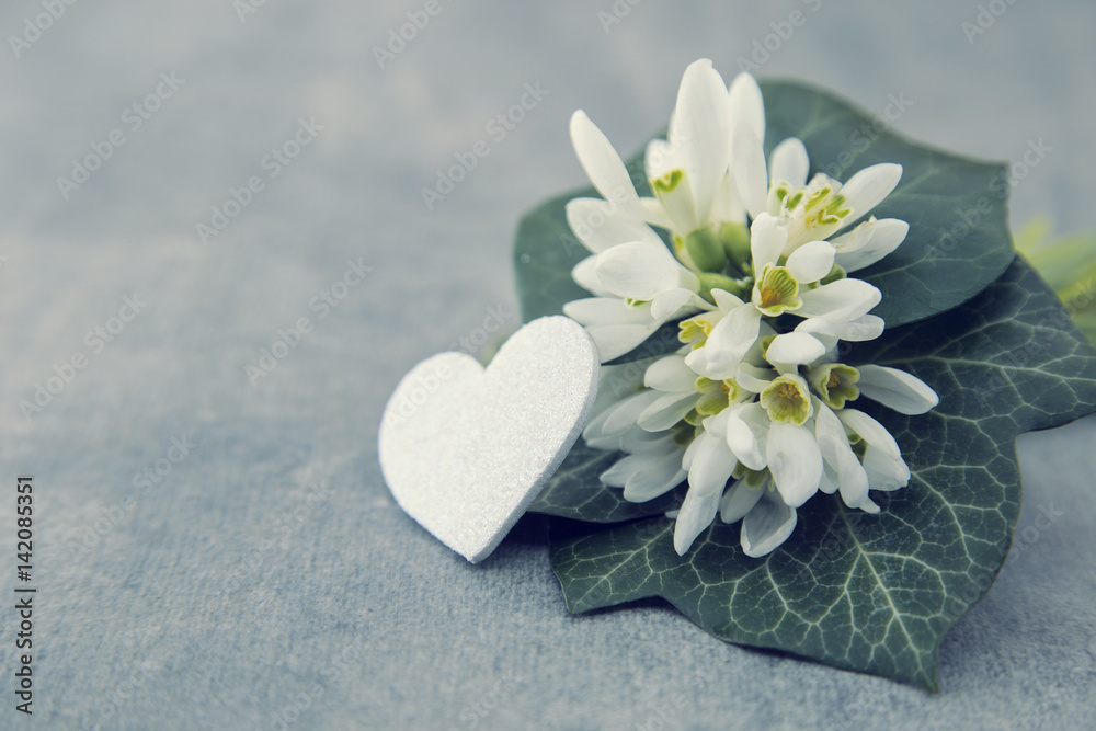 Bouquet of snowdrops on gray stone background with copy space for message. First spring flowers. Greeting card for Valentine's Day, Woman's Day and Mother's Day holidays. Soft focus Bouquet of snowdrops on gray stone background with copy space for message. First spring flowers. Greeting card for Valentine's Day, Woman's Day and Mother's Day holidays. Soft focus