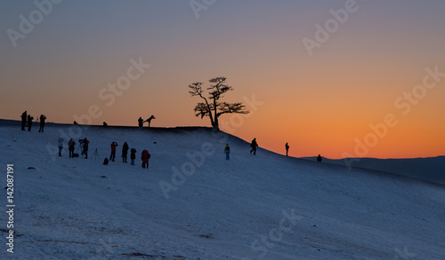 Silhouette of a lonley tree with people against sunset © Elena Sistaliuk