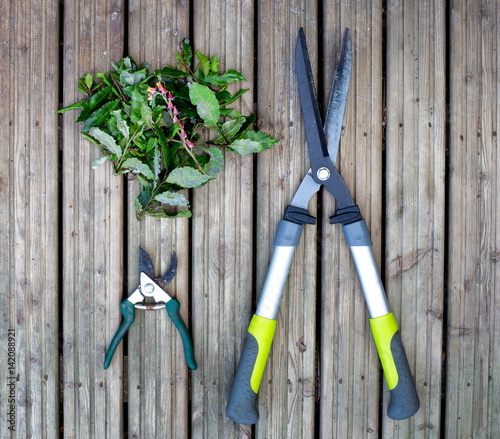 Abstract still-life of gardening tools and leaf cuttings shot from above against vertical lines of wooden decking.
