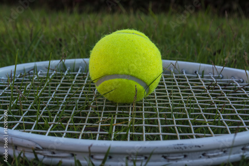 Tennis is a racket sport that is an Olympic sport and is played at all levels of society and at all ages. © Thanaphon