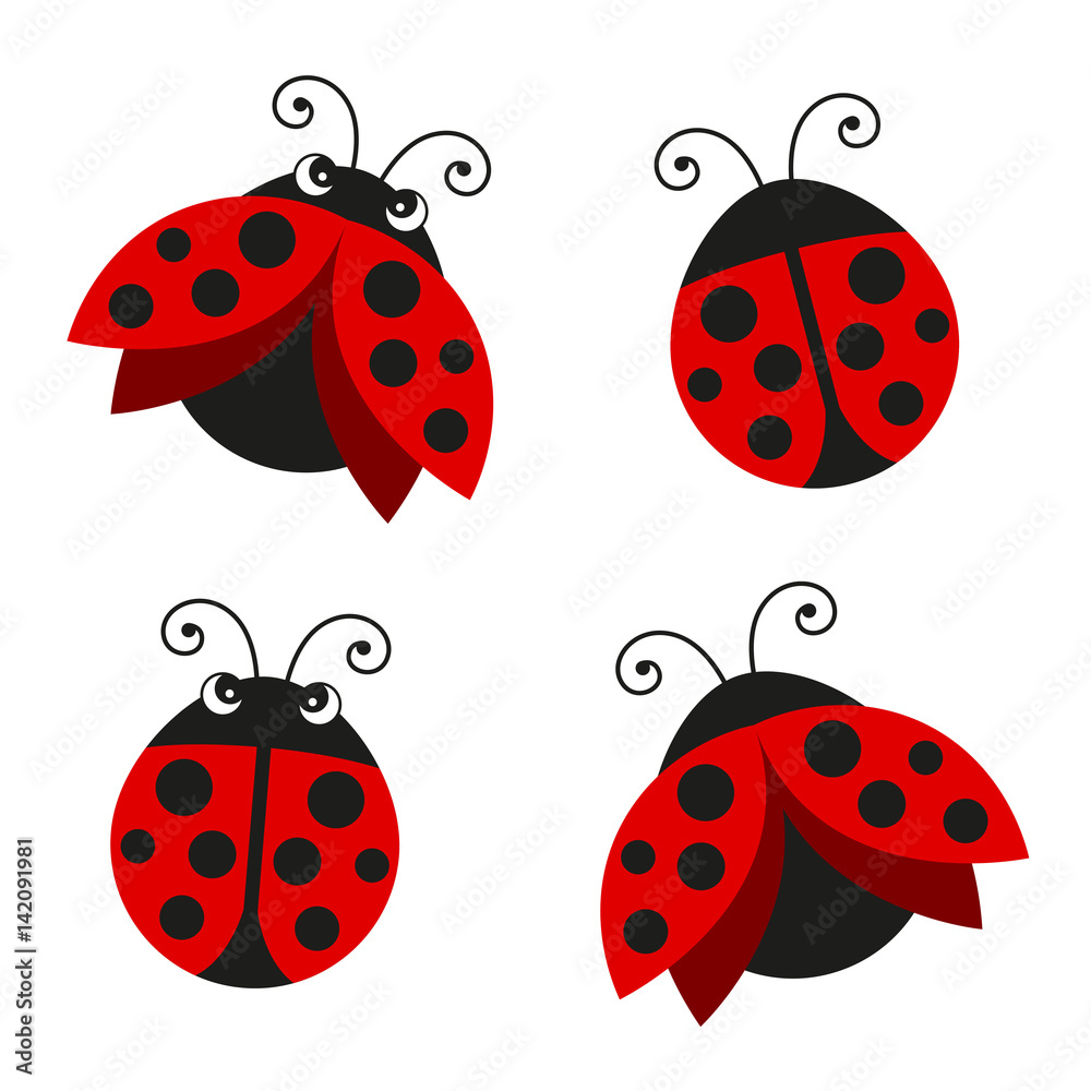 Naklejka premium Vector Illustration of Ladybugs
