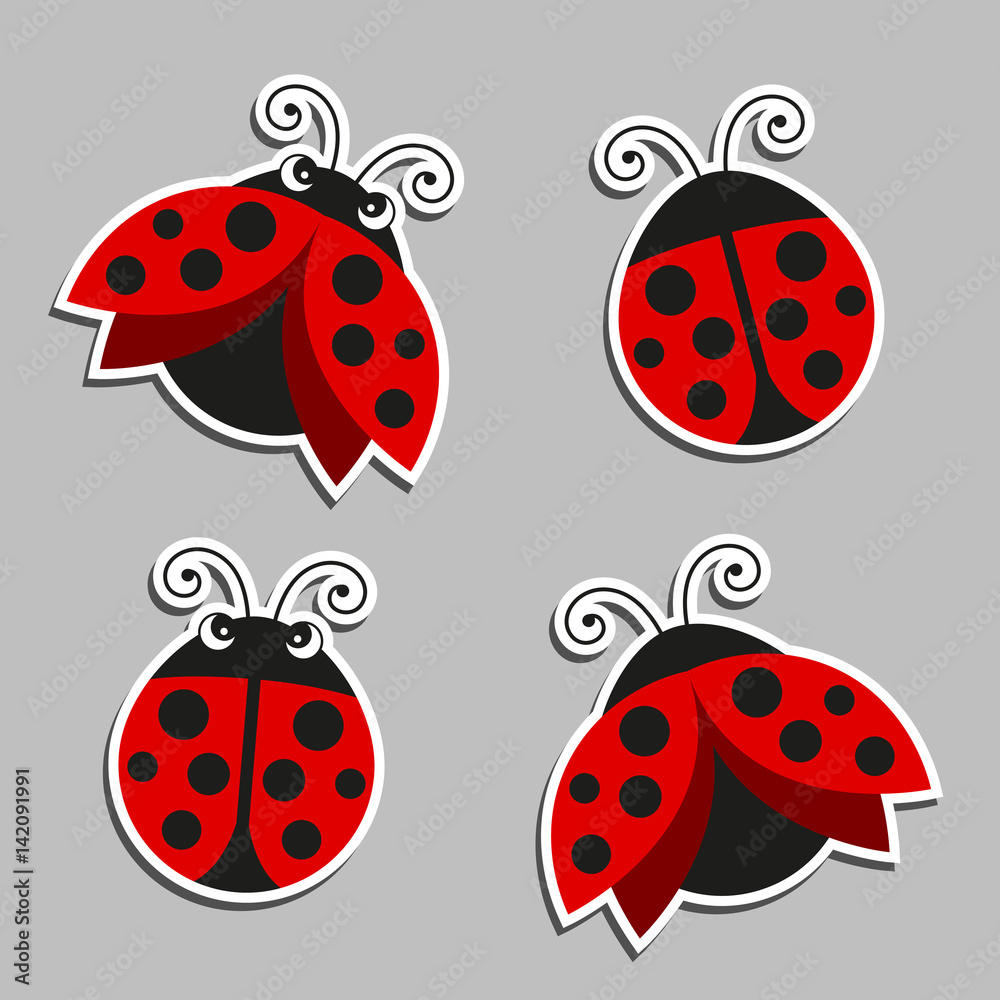 Fototapeta premium Vector Illustration of Ladybugs