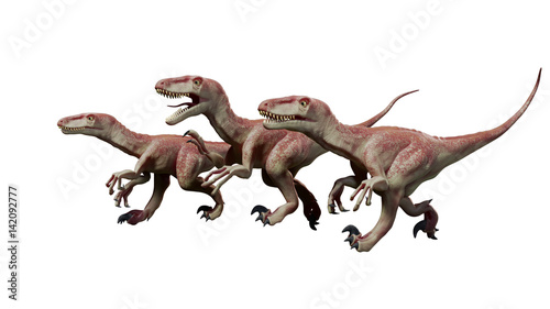 pack of raptor dinosaurs  running Dromaeosaurs  3d illustration isolated on white background