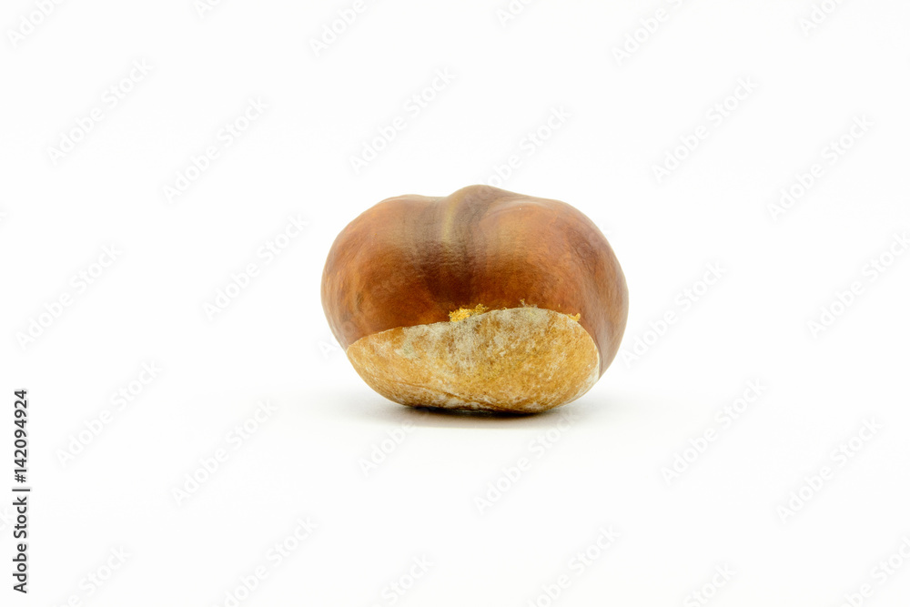 Closeup chestnuts isolated on white background. Fresh autumn chestnut. Sweet natural fruit the chestnut tree. Sign of autumn. Autumn decoration from chestnuts. Closeup chestnuts isolated on white background. Fresh autumn chestnut. Sweet natural fruit the chestnut tree. Sign of autumn. Autumn decoration from chestnuts.