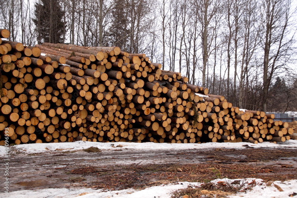 заготовка древесины зимой
