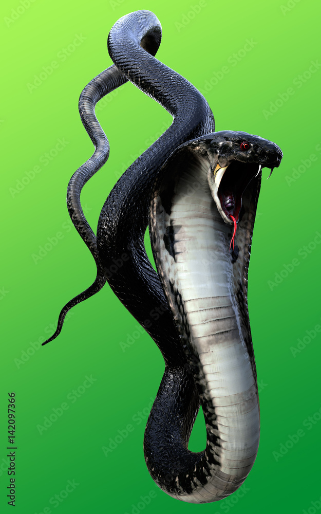 3d King Cobra Black Snake The world\'s longest venomous snake ...