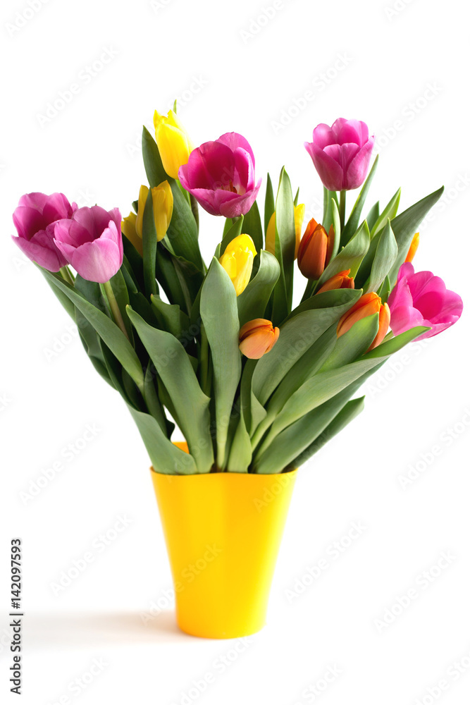 A bouquet of bright yellow, fuchsia and orange tulips in a vase isolated on white background. Spring mood. Flowers. A bouquet of bright yellow, fuchsia and orange tulips in a vase isolated on white background. Spring mood. Flowers.