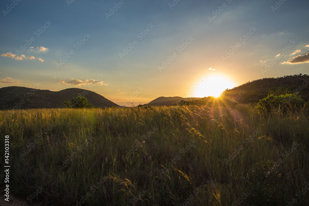 Obraz premium Africa landscape