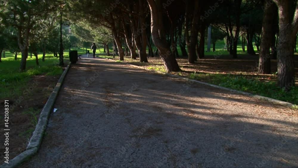Young woman walking a little dog in summer park, back view shot Young woman walking a little dog in summer park, back view shot