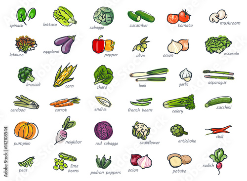 Icon set of vegetables hand drawn style