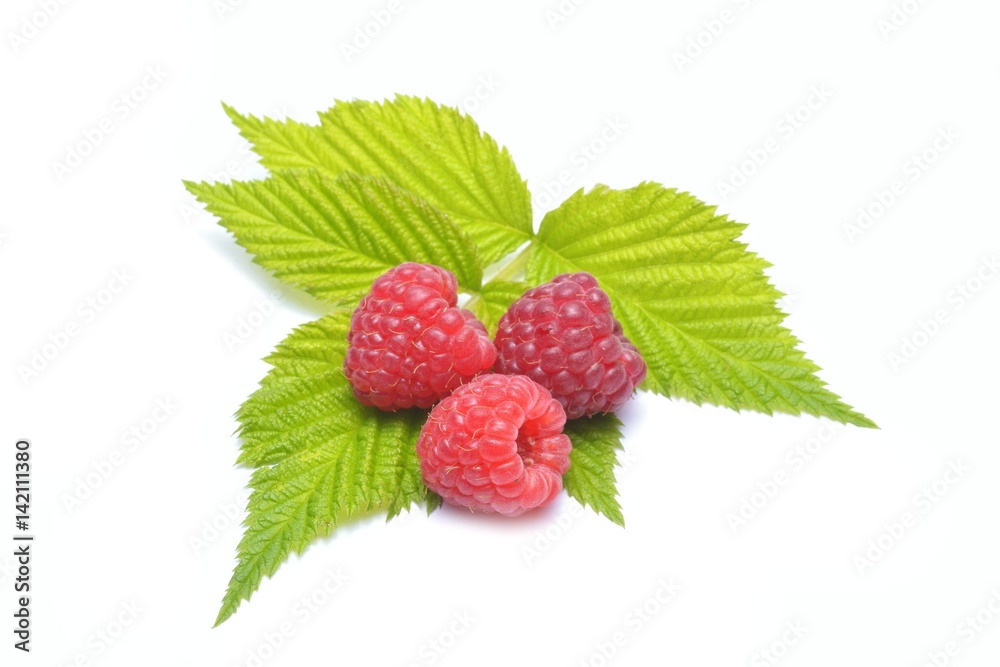 Ripe raspberries isolated on a white background
