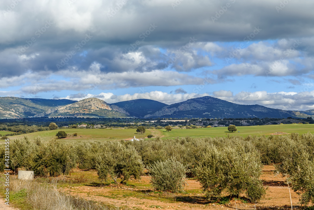landscape in province of Albacete, Spain