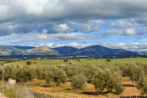 landscape in province of Albacete, Spain