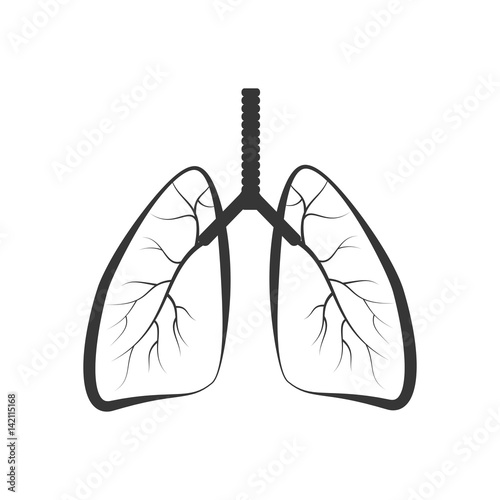 Trees are the lungs of the earth