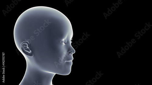 half-profile of a smiling Asian child in front of a black background (conceptual 3d illustration) 006
