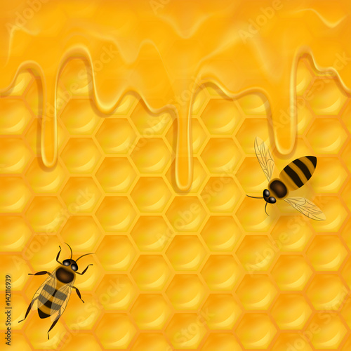 Horizontal seamless pattern with honeycomb