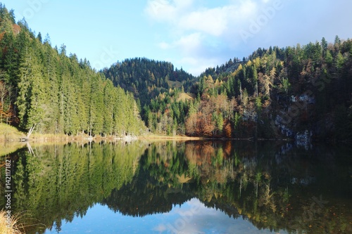 Fototapeta Naklejka Na Ścianę i Meble -  Wald spiegelt sich im See
