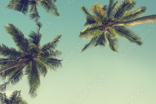 Palm coconut tree over sky background, Vintage filter effect, copy space
