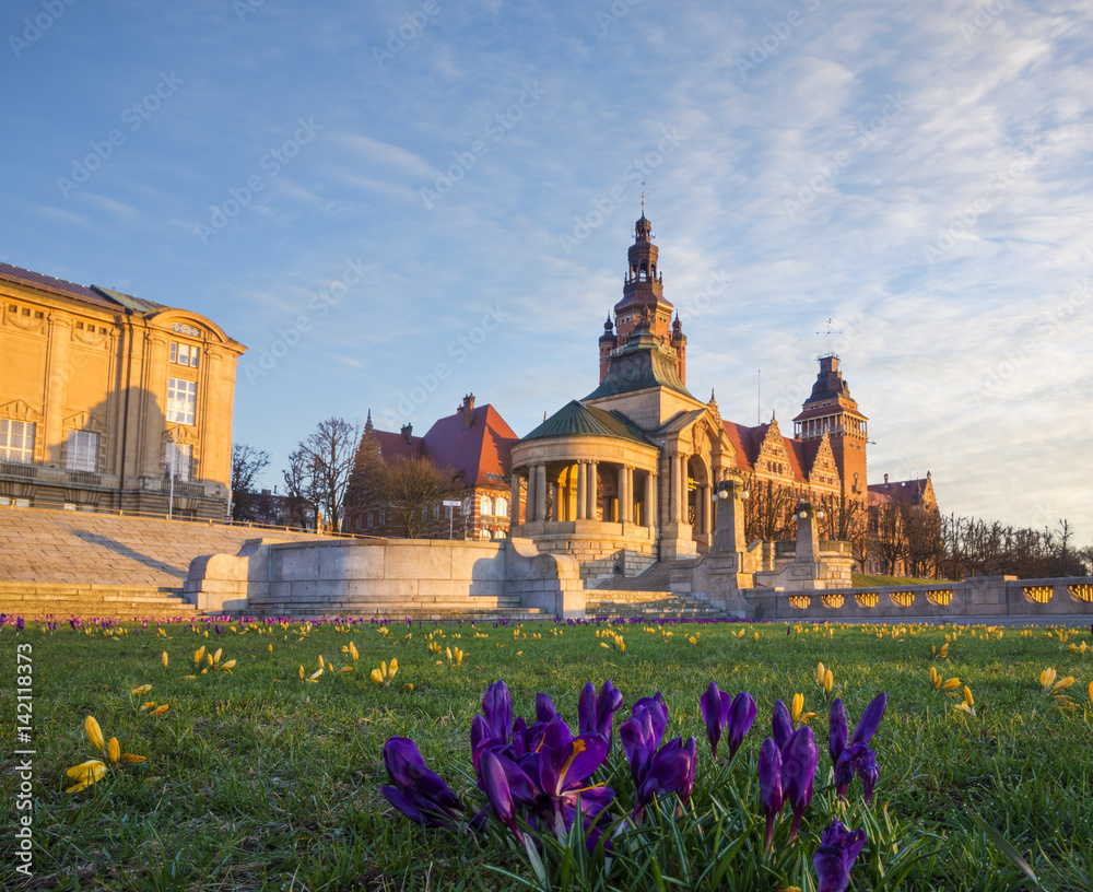 Naklejka premium Crocuses blooming on Haken Terrace in Szczecin, Poland