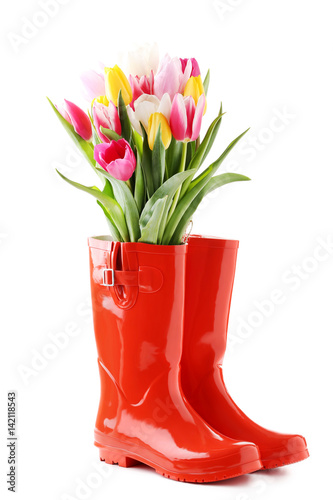 Bouquet of tulips with red rubber boots isolated on a white