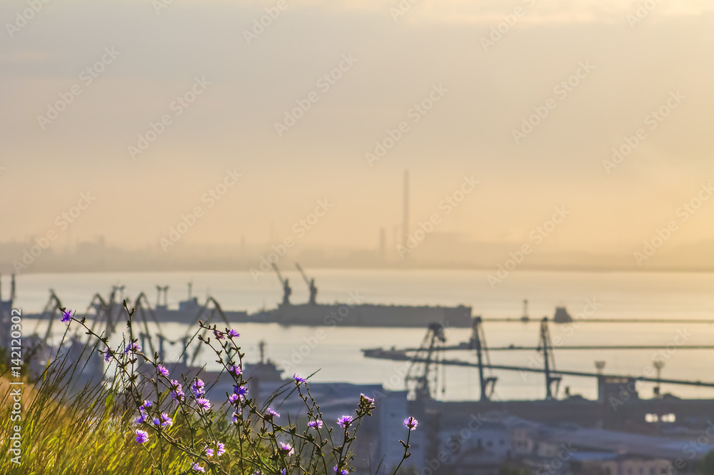 Seaport and background plant in the bay, industrial landscape.