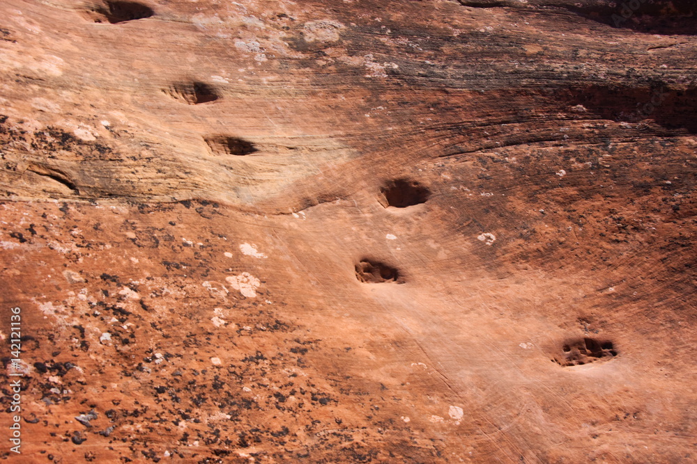 Fototapeta premium Footholds cut into slickrock along a trail in Canyonlands National Park, Utah. 