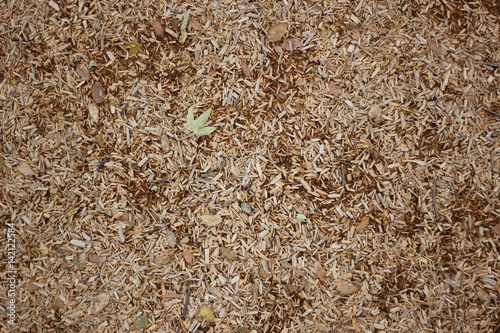 Playground tanbark texture