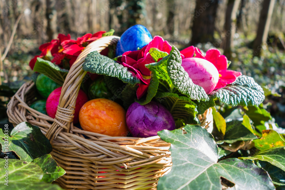Fototapeta premium Osterkorb im Wald