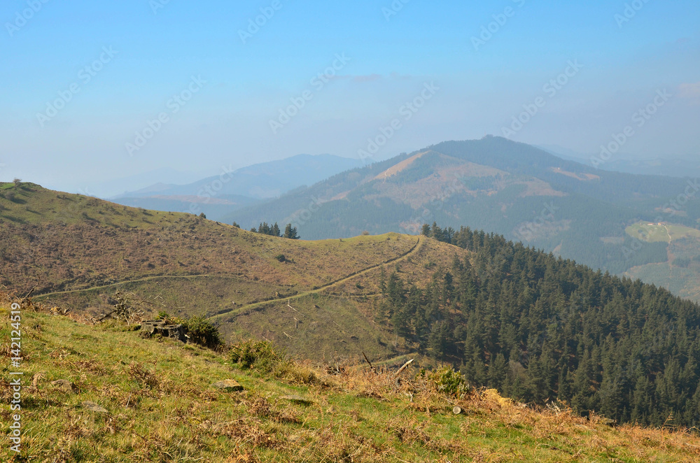 Fototapeta premium Forest road, Alava, Basque Country