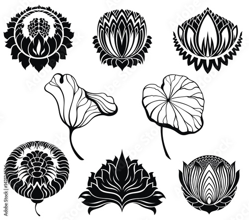 Fototapeta Naklejka Na Ścianę i Meble -  Lotus collection