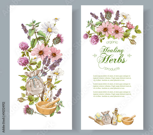 Vector herbal banner