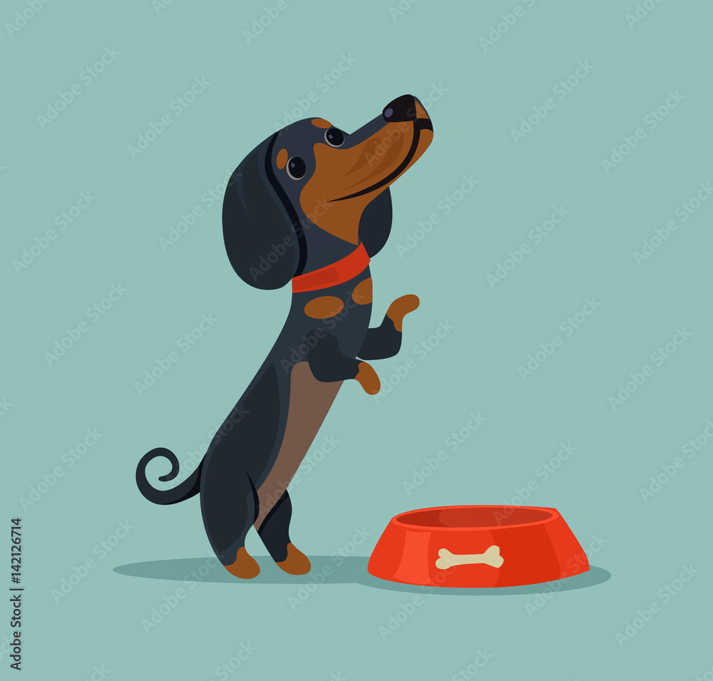Little cute dog character mascot want eat and demand food from owner. Vector flat cartoon illustration Little cute dog character mascot want eat and demand food from owner. Vector flat cartoon illustration