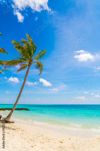 Fototapeta Naklejka Na Ścianę i Meble -  Beautiful tropical Maldives island, white sandy beach and sea  with palms tree around .