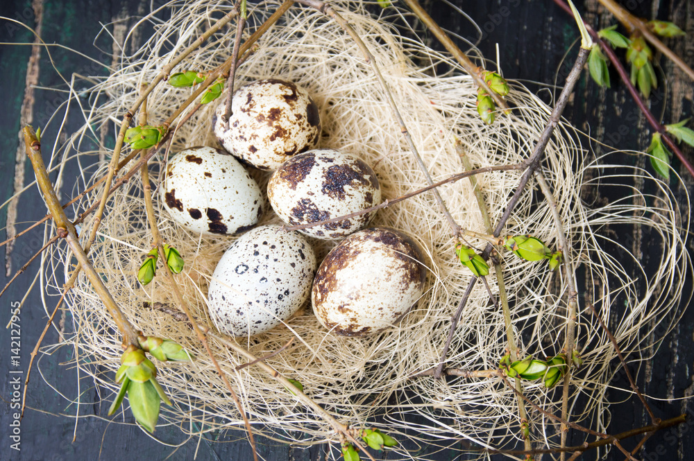 Quail eggs and tree branches Quail eggs and tree branches