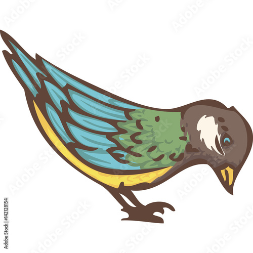 Blue Tit Bird