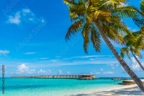 Fototapeta Naklejka Na Ścianę i Meble -  Beautiful tropical Maldives island, white sandy beach and sea  with palms tree around .