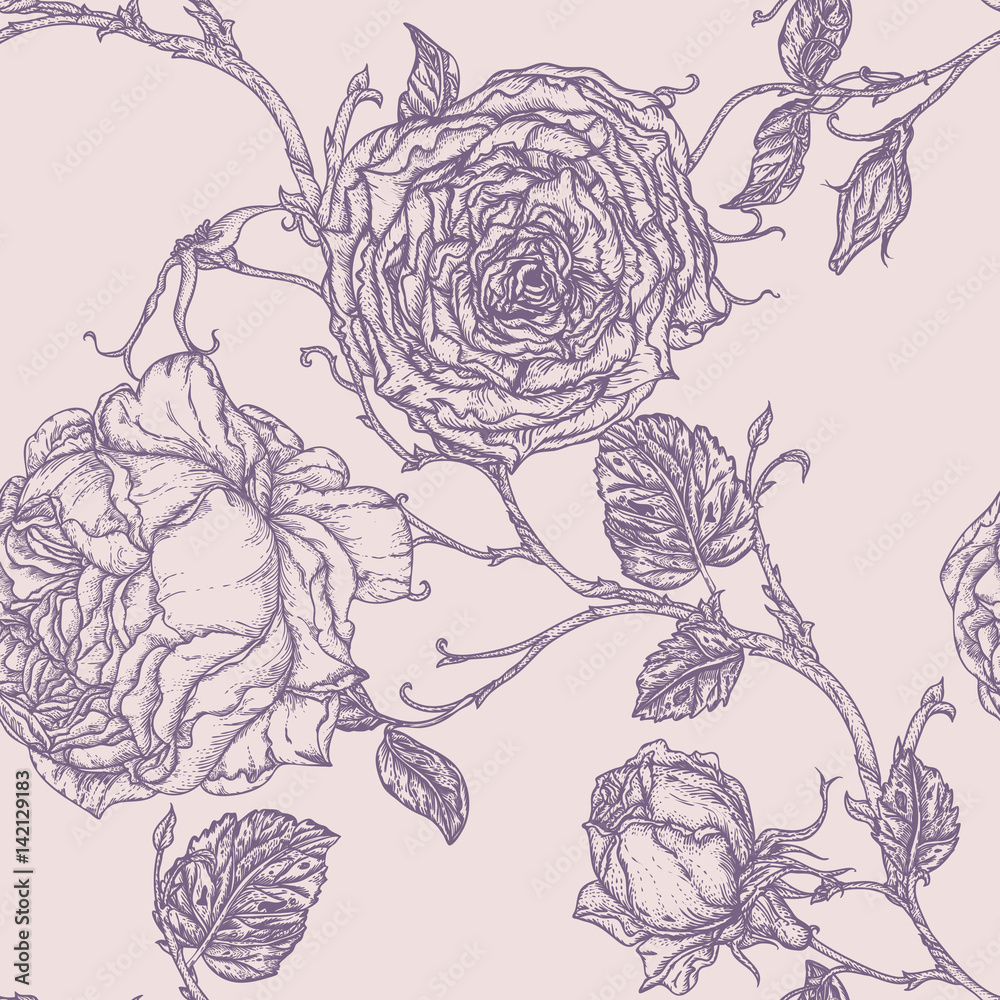Fototapeta premium Peony or rose flower in victorian etching style.