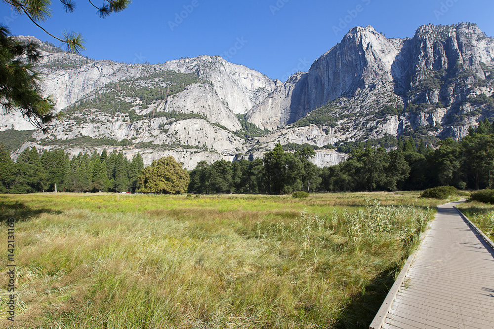 A view of Yosemite Valley Floor in California 
