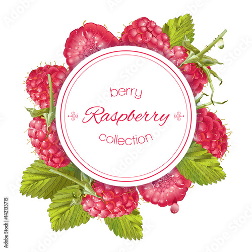 Raspberry round banner
