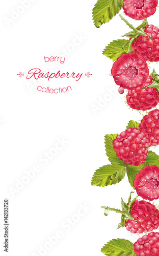 Raspberry vertical banner