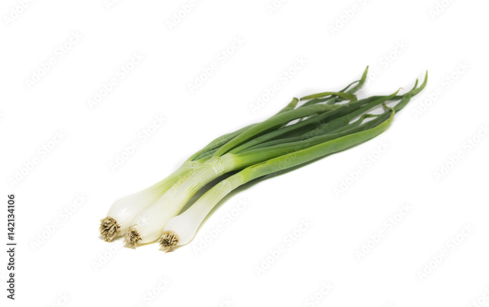 Obraz premium fresh spring onion isolated on white background