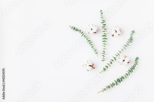 Flowers composition. Fresh eucalyptus branches and cotton flowers. Flat lay  top view