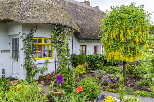 Cottage in Adare photo