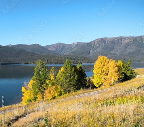 Fall foliage in rural Colorado © SNEHIT PHOTO