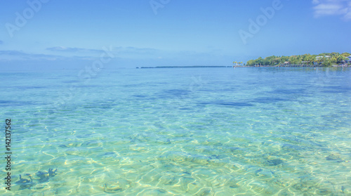 Bay at low tide