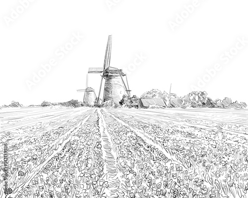 Scenic fields in the background windmills in Holland. Netherlands, Europe. Hand drawn vector illustration