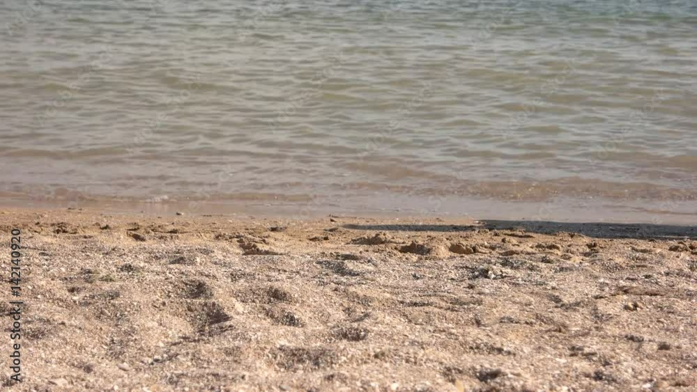 Legs of people walking along the beach. Family strolls by the sea. Sea and wet sand. Summer vacation. Legs of people walking along the beach. Family strolls by the sea. Sea and wet sand. Summer vacation.