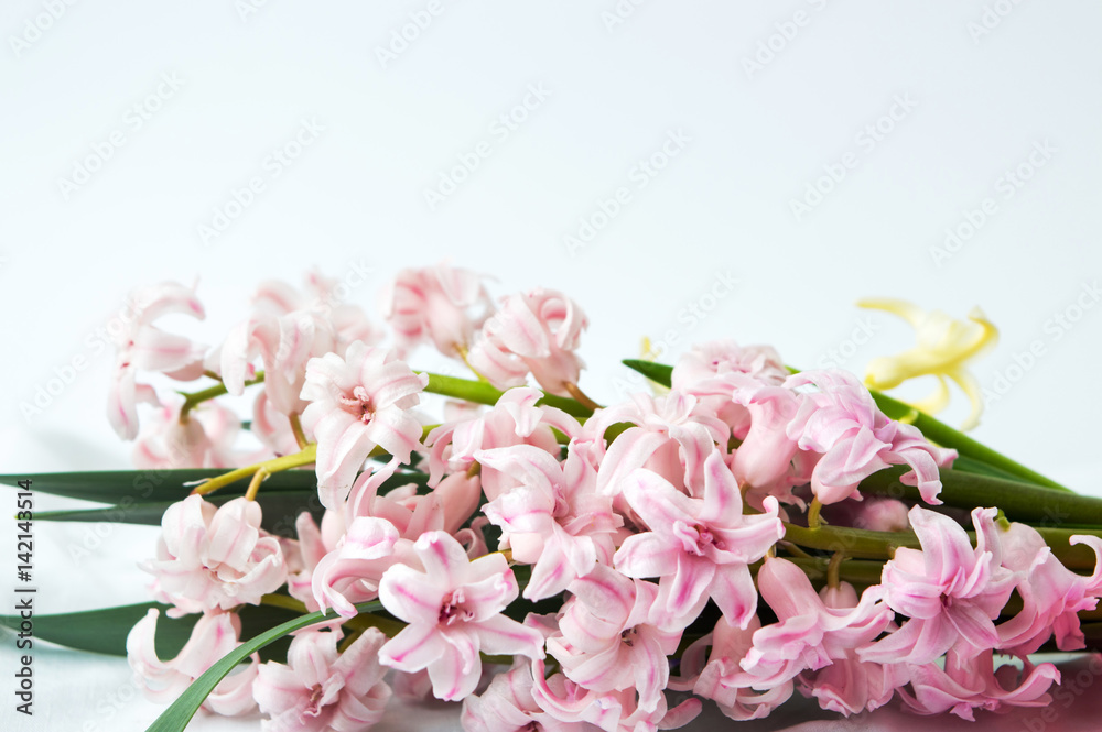 Hyacinth flowers bouquet on white textile