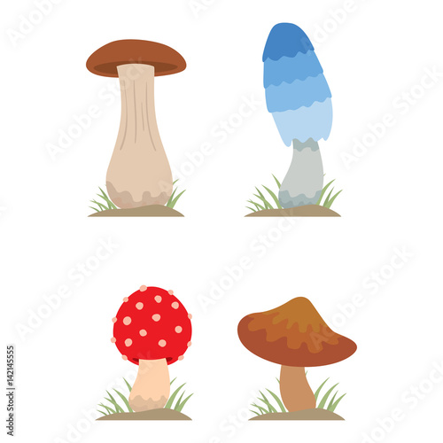 Mushrooms for cook food and poisonous nature meal vegetarian healthy autumn edible and fungus organic vegetable raw ingredient vector illustration.